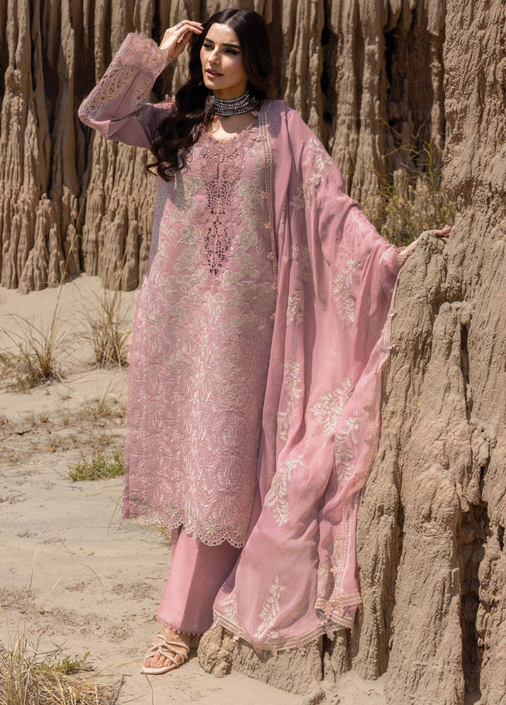 Rang Rasiya Embroidered Lawn Suits Unstitched 3 Piece RR25PE D-02 Aysel - Eid Collection