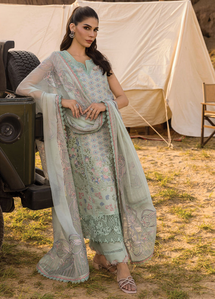 Rang Rasiya Embroidered Lawn Suits Unstitched 3 Piece RR25PE D-08 Nadine - Eid Collection