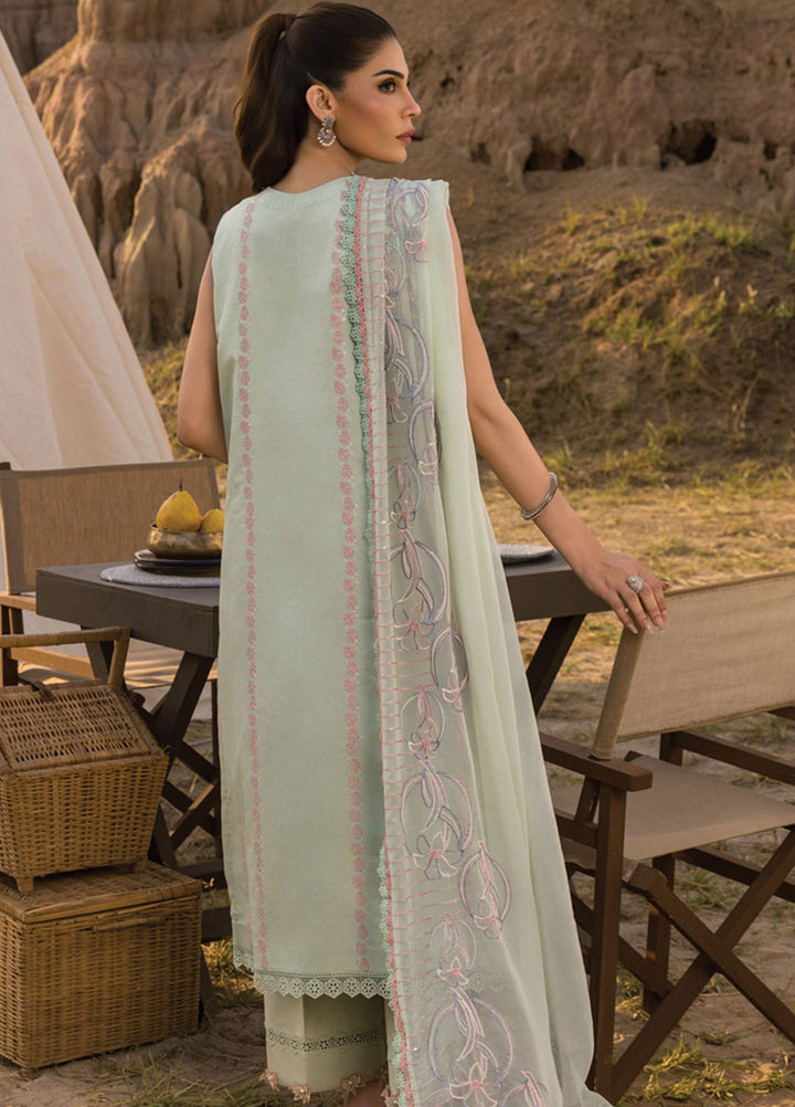 Rang Rasiya Embroidered Lawn Suits Unstitched 3 Piece RR25PE D-08 Nadine - Eid Collection