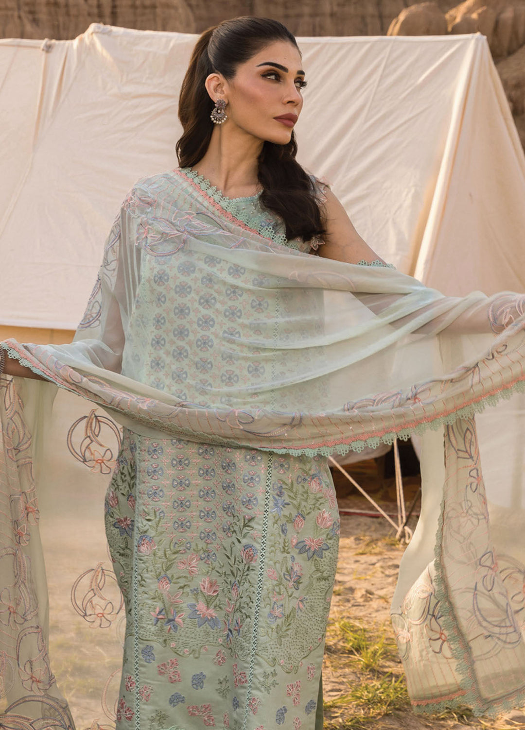 Rang Rasiya Embroidered Lawn Suits Unstitched 3 Piece RR25PE D-08 Nadine - Eid Collection