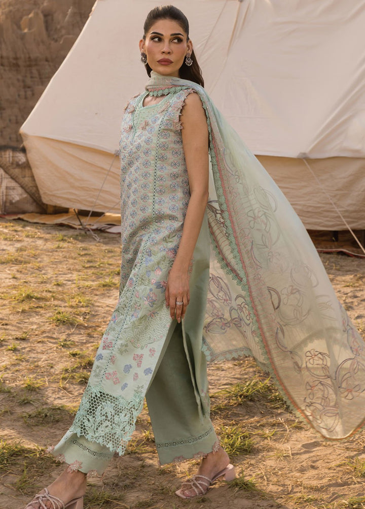 Rang Rasiya Embroidered Lawn Suits Unstitched 3 Piece RR25PE D-08 Nadine - Eid Collection