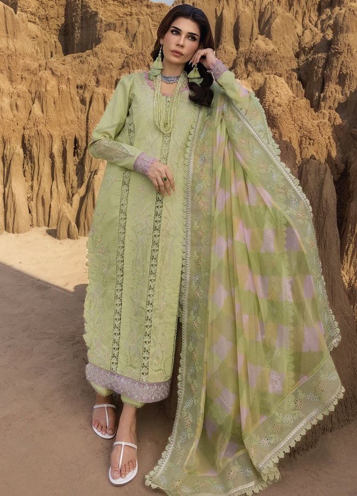 Rang Rasiya Embroidered Lawn Suits Unstitched 3 Piece RR25PE D-10 Rania - Eid Collection