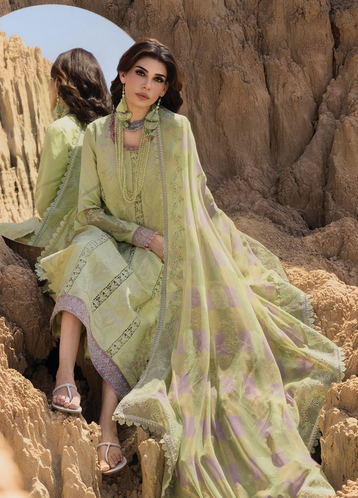Rang Rasiya Embroidered Lawn Suits Unstitched 3 Piece RR25PE D-10 Rania - Eid Collection