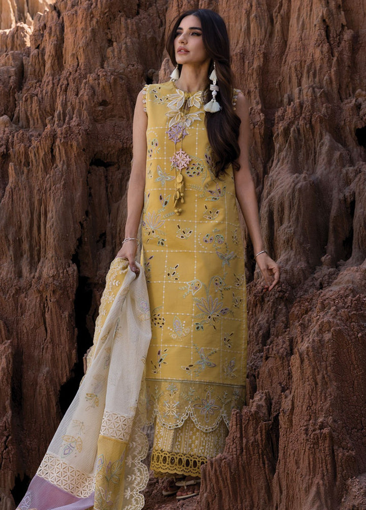 Rang Rasiya Embroidered Lawn Suits Unstitched 3 Piece RR25PE D-11 Nadia - Eid Collection