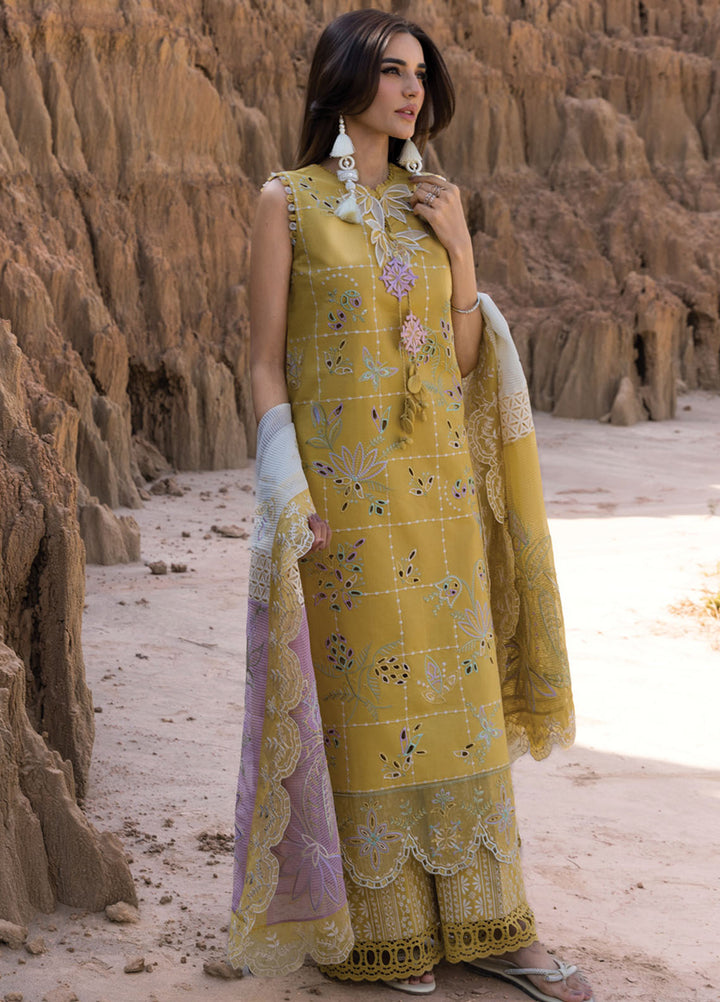 Rang Rasiya Embroidered Lawn Suits Unstitched 3 Piece RR25PE D-11 Nadia - Eid Collection