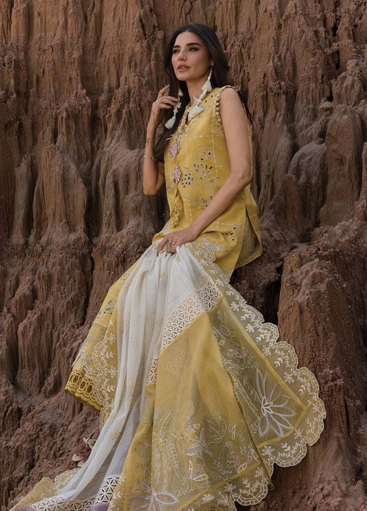 Rang Rasiya Embroidered Lawn Suits Unstitched 3 Piece RR25PE D-11 Nadia - Eid Collection