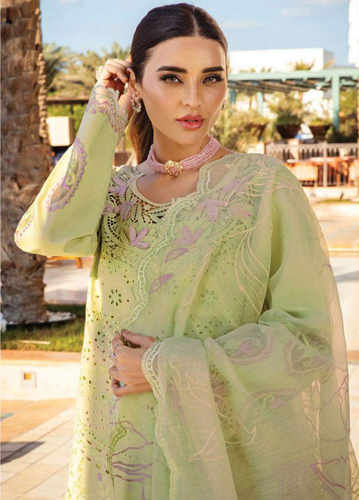 Rang Rasiya Embroidered Lawn Suits Unstitched 3 Piece RR25PS D-03 Elaheh - Summer Collection