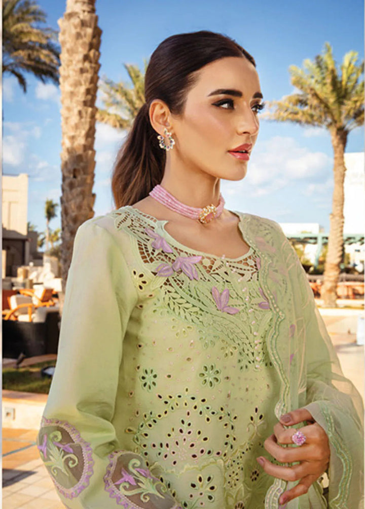 Rang Rasiya Embroidered Lawn Suits Unstitched 3 Piece RR25PS D-03 Elaheh - Summer Collection