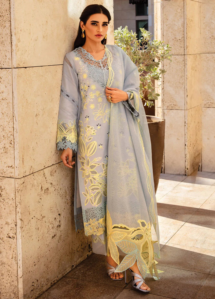 Rang Rasiya Embroidered Lawn Suits Unstitched 3 Piece RR25PS D-04 Elnaz - Summer Collection