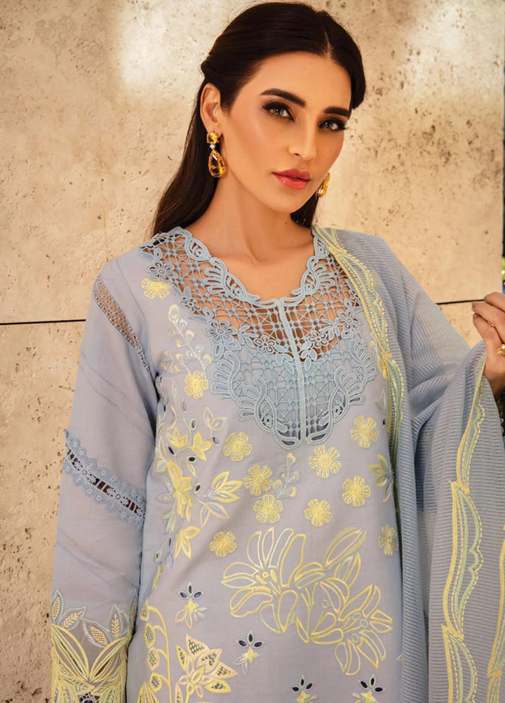 Rang Rasiya Embroidered Lawn Suits Unstitched 3 Piece RR25PS D-04 Elnaz - Summer Collection