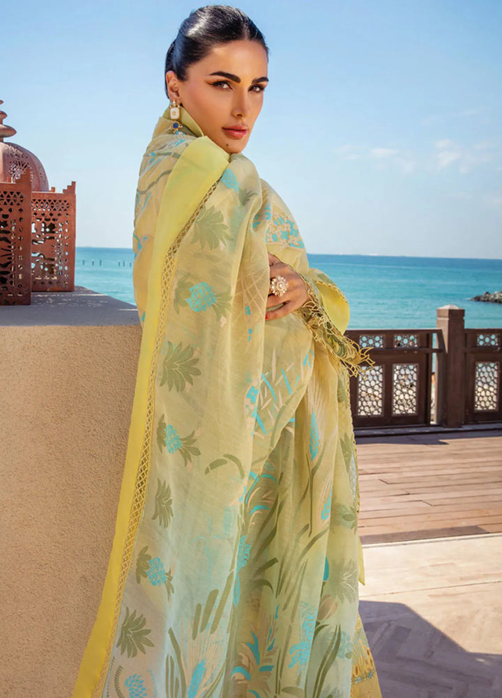 Rang Rasiya Embroidered Lawn Suits Unstitched 3 Piece RR25PS D-05 Minaal - Summer Collection