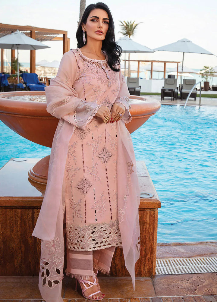 Rang Rasiya Embroidered Lawn Suits Unstitched 3 Piece RR25PS D-06 Amani - Summer Collection