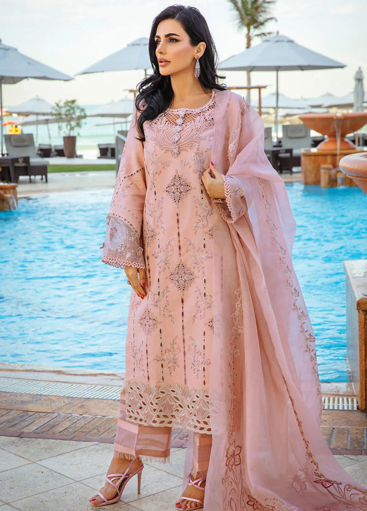 Rang Rasiya Embroidered Lawn Suits Unstitched 3 Piece RR25PS D-06 Amani - Summer Collection