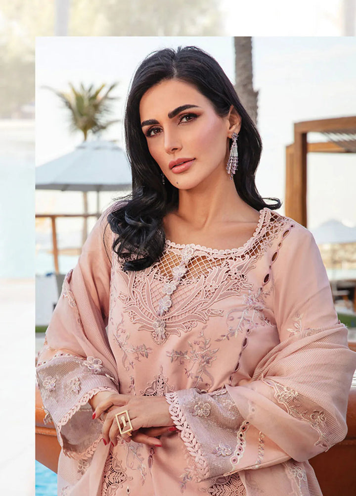 Rang Rasiya Embroidered Lawn Suits Unstitched 3 Piece RR25PS D-06 Amani - Summer Collection