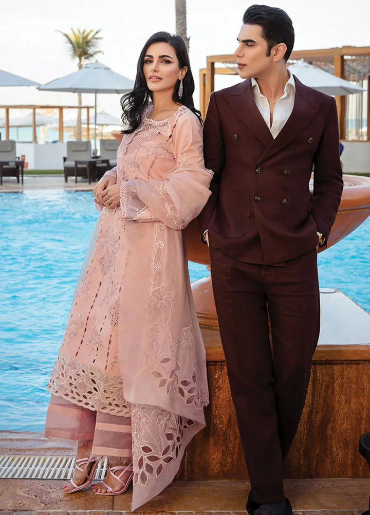 Rang Rasiya Embroidered Lawn Suits Unstitched 3 Piece RR25PS D-06 Amani - Summer Collection