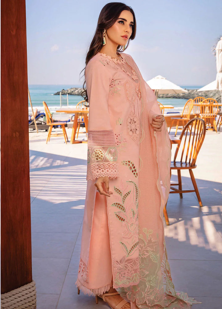 Rang Rasiya Embroidered Lawn Suits Unstitched 3 Piece RR25PS D-08 Bareeha - Summer Collection