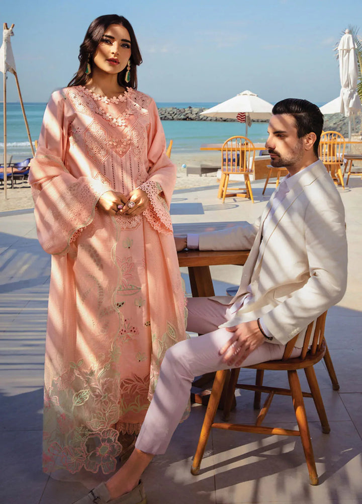 Rang Rasiya Embroidered Lawn Suits Unstitched 3 Piece RR25PS D-08 Bareeha - Summer Collection