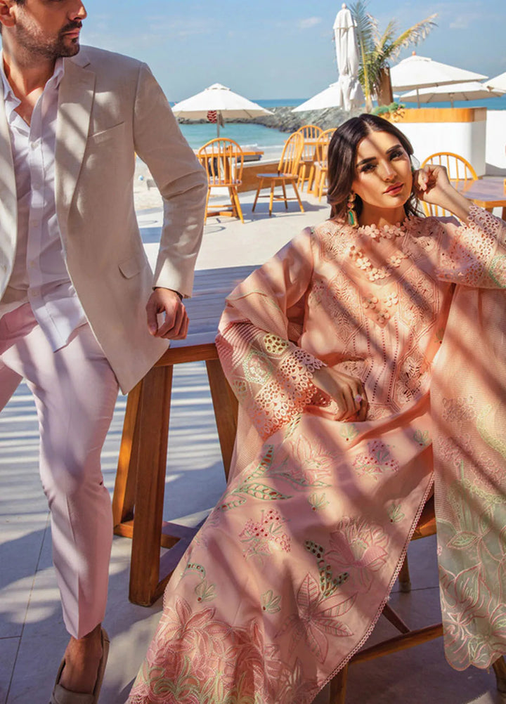 Rang Rasiya Embroidered Lawn Suits Unstitched 3 Piece RR25PS D-08 Bareeha - Summer Collection