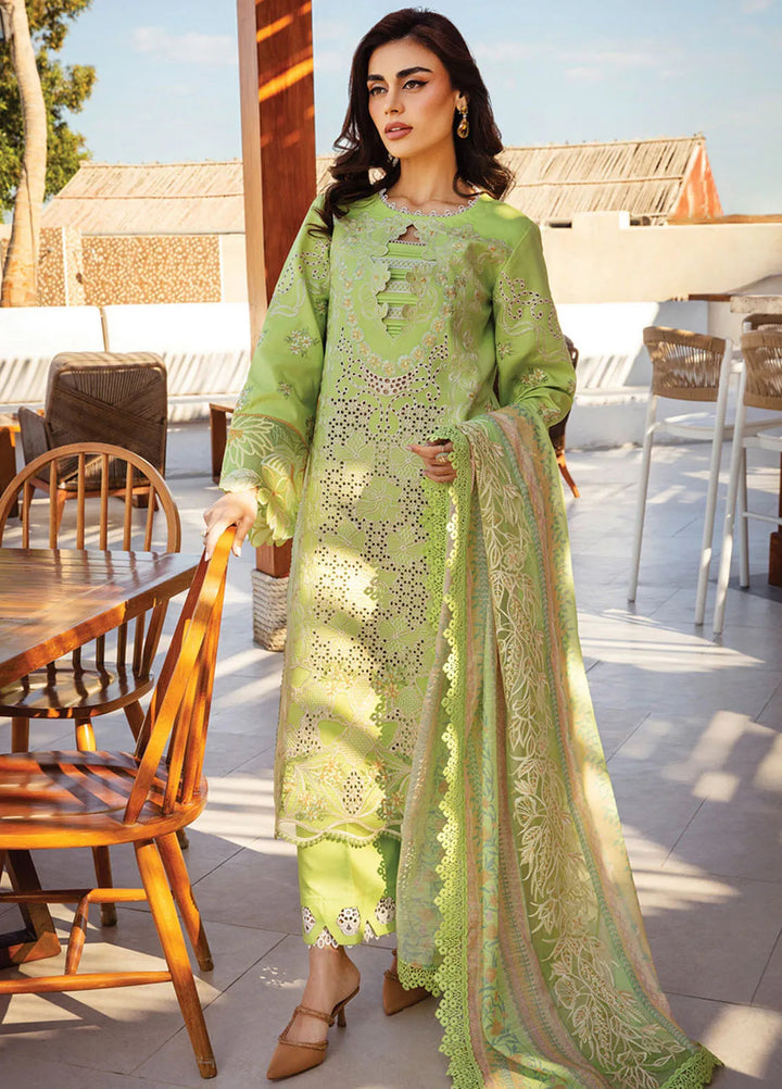 Rang Rasiya Embroidered Lawn Suits Unstitched 3 Piece RR25PS D-10 Ayleen - Summer Collection