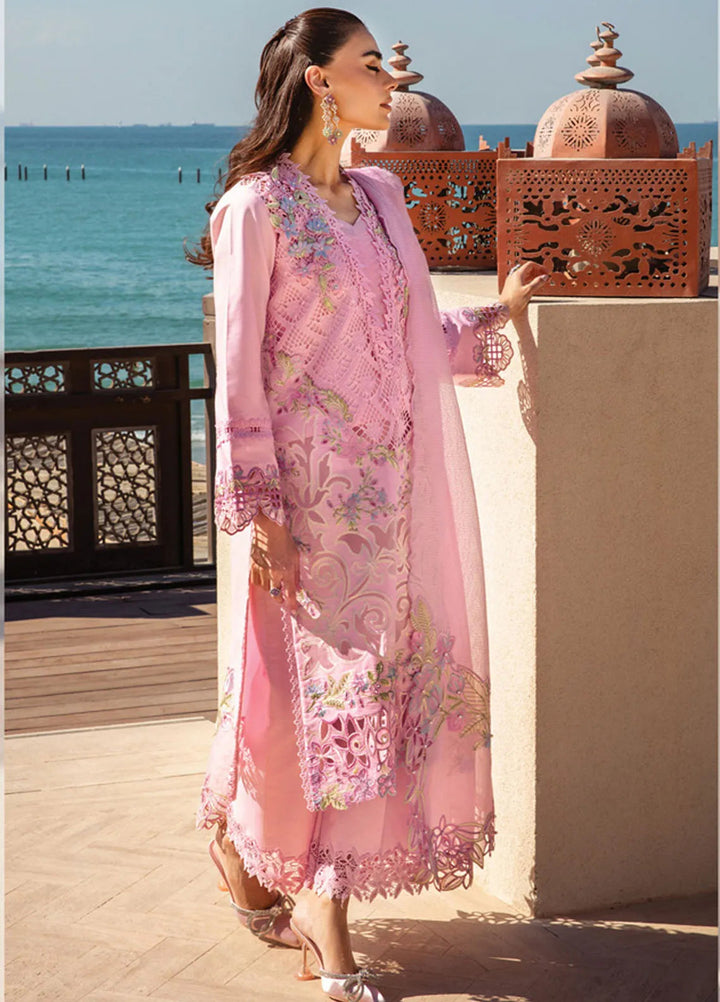 Rang Rasiya Embroidered Lawn Suits Unstitched 3 Piece RR25PS D-11 Natalia - Summer Collection