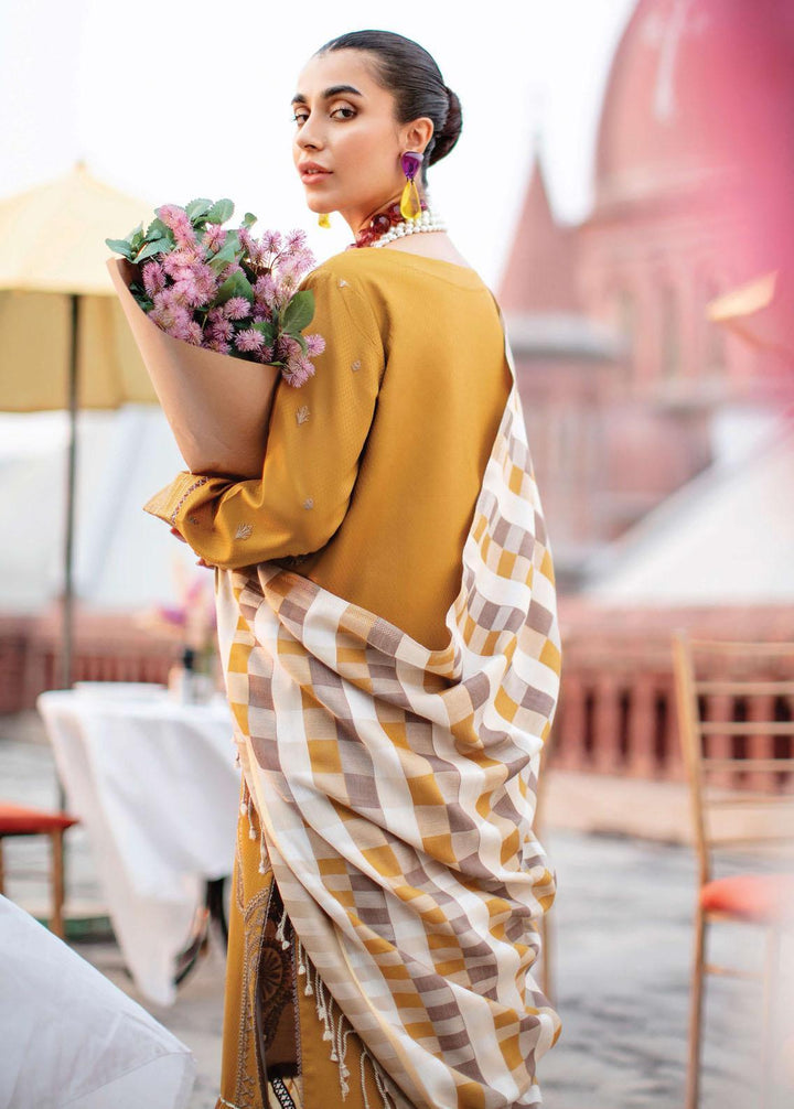 Rang Rasiya Embroidered Linen Suits Unstitched 3 Piece RR22W D-12 - Winter Collection