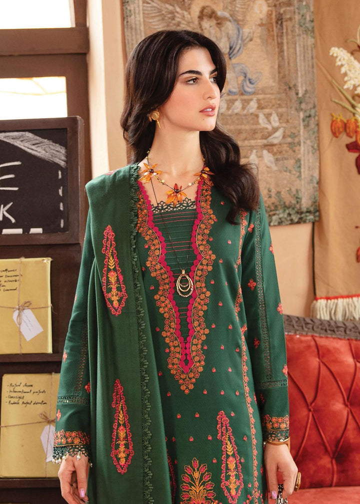 Rang Rasiya Embroidered Linen Suits Unstitched 3 Piece RR22W D-13 - Winter Collection