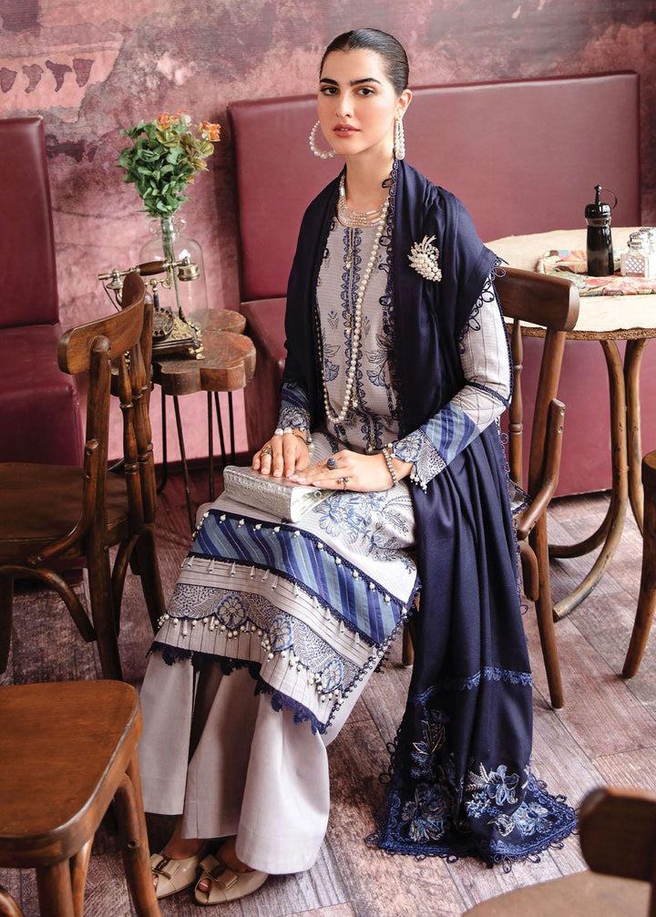 Rang Rasiya Embroidered Linen Suits Unstitched 3 Piece RR22W D-15 - Winter Collection