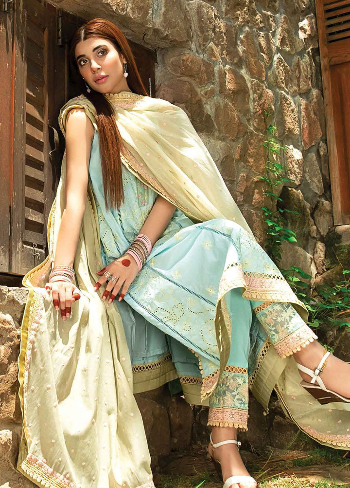Rang Rasiya Embroidered Lawn Suits Unstitched 3 Piece RR21PE D-03 PAYBREAK - Festive Collection
