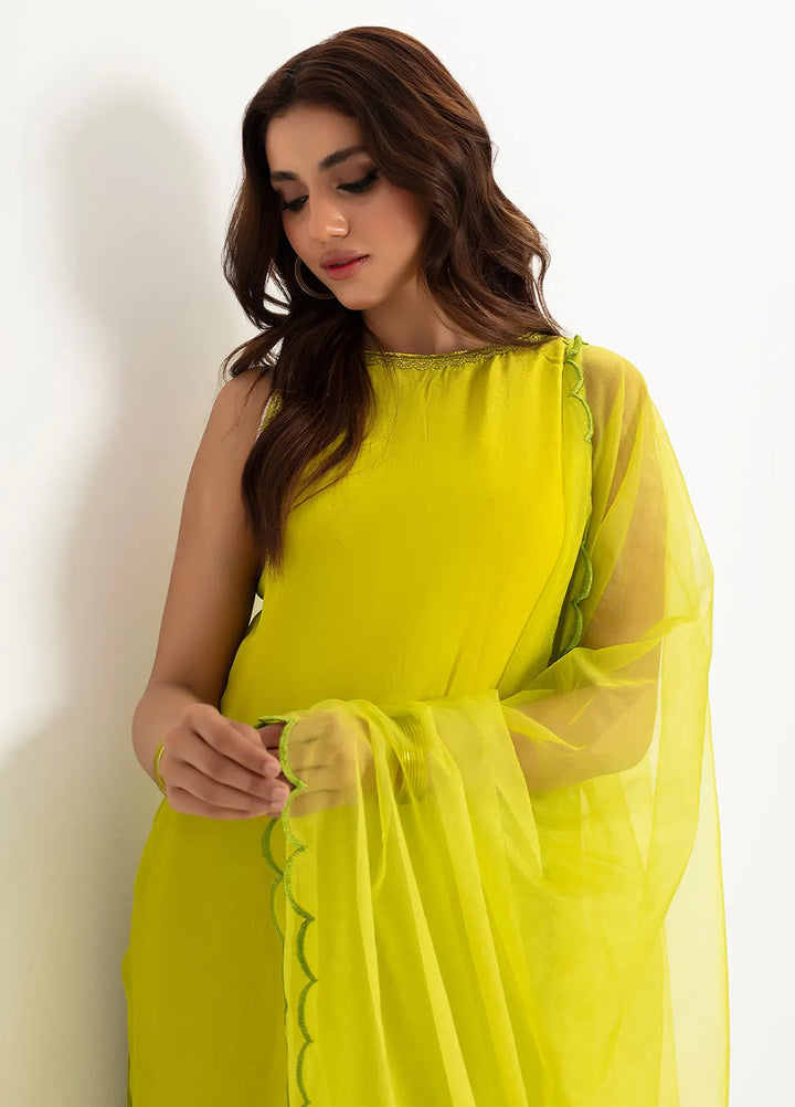 Rangeen Pret Printed Raw Silk 3 Piece Suit Lime