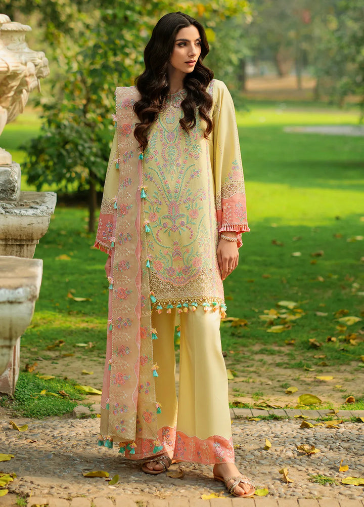 Rania by Hana Embroidered Lawn Suit Unstitched 3 Piece HN25RS Nur - KSL25-03 - Summer Collection