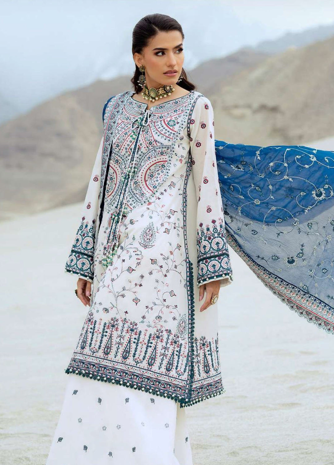 Raqs by Aik Atelier Embroidered Lawn Suits Unstitched 3 Piece AIK25RQ D-02 - Summer Collection