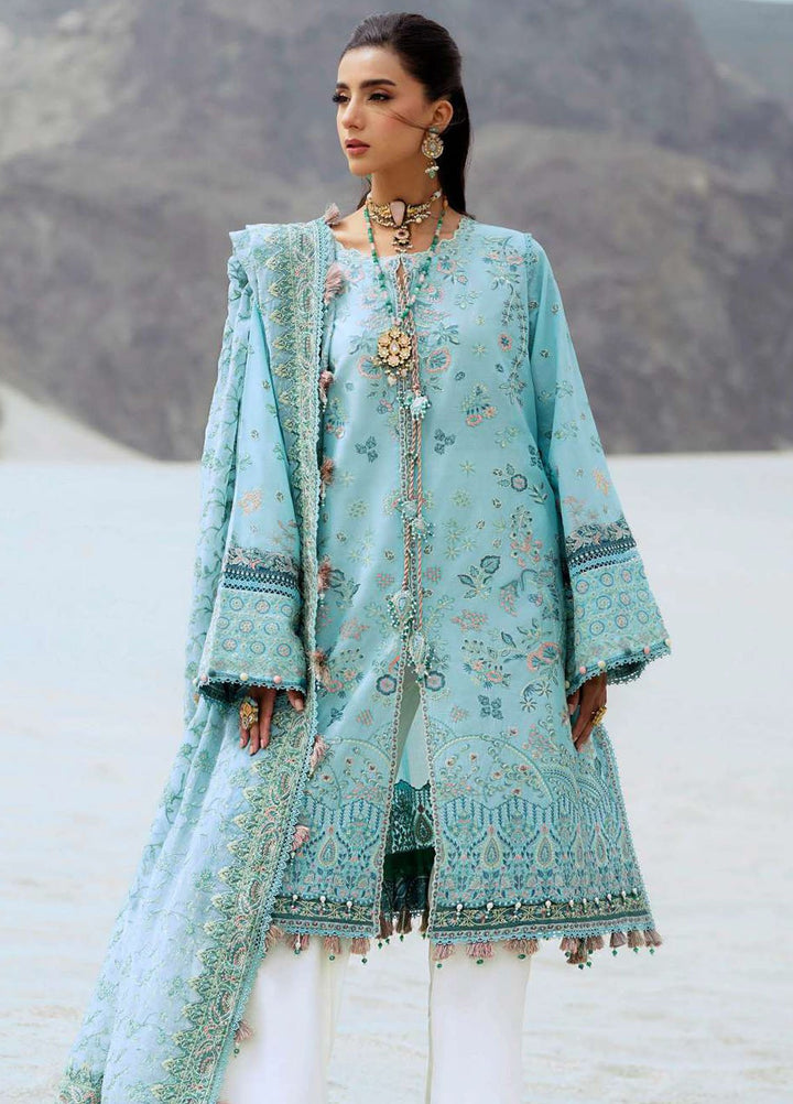 Raqs by Aik Atelier Embroidered Lawn Suits Unstitched 3 Piece AIK25RQ D-03 - Summer Collection