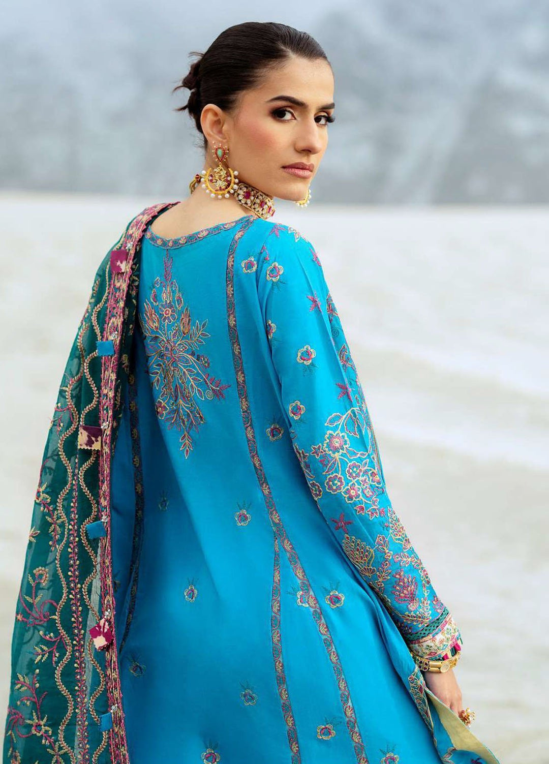 Raqs by Aik Atelier Embroidered Lawn Suits Unstitched 3 Piece AIK25RQ D-05 - Summer Collection