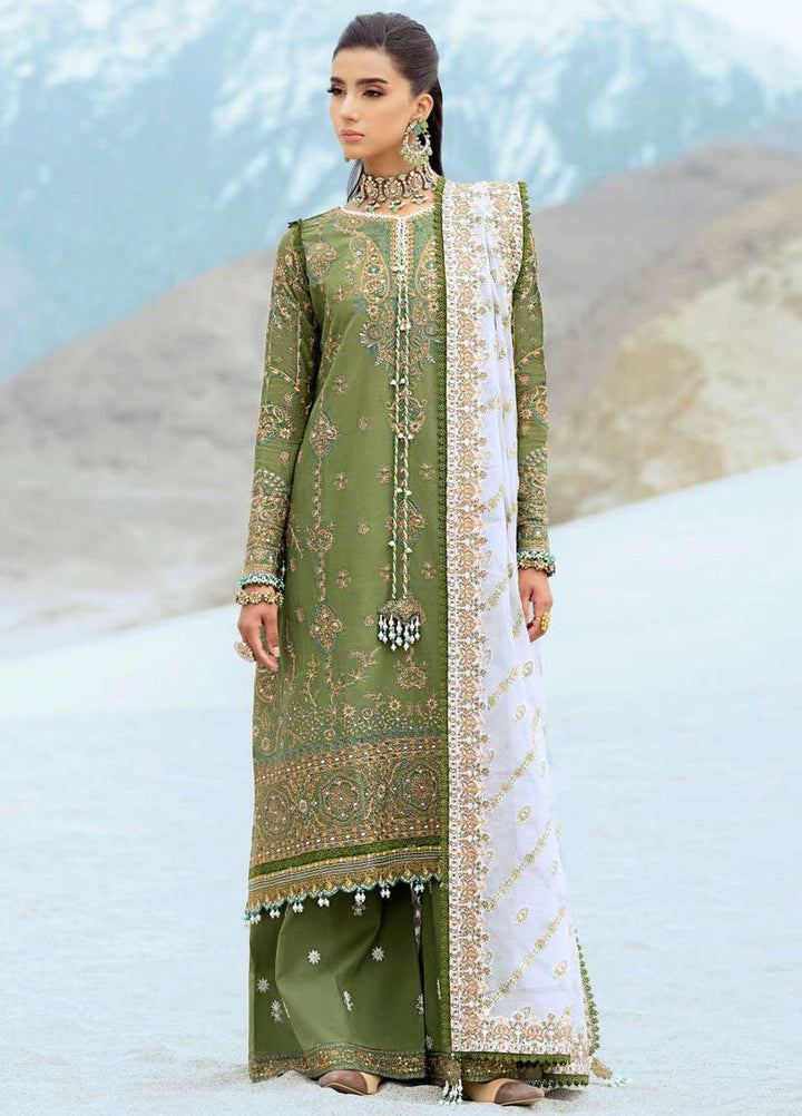 Raqs by Aik Atelier Embroidered Lawn Suits Unstitched 3 Piece AIK25RQ D-06 - Summer Collection