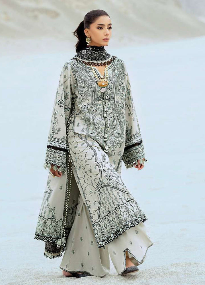 Raqs by Aik Atelier Embroidered Lawn Suits Unstitched 3 Piece AIK25RQ D-08 - Summer Collection