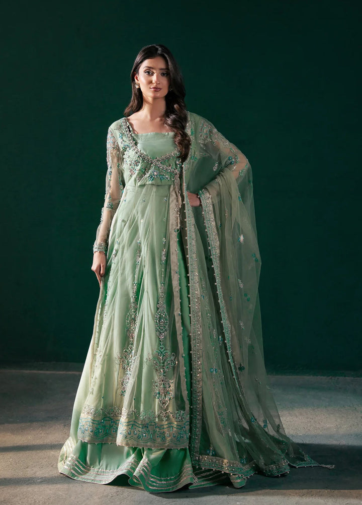 Rashq-e-Qamar by Malook Pret Embroidered Net 3 Piece Suit Feroza