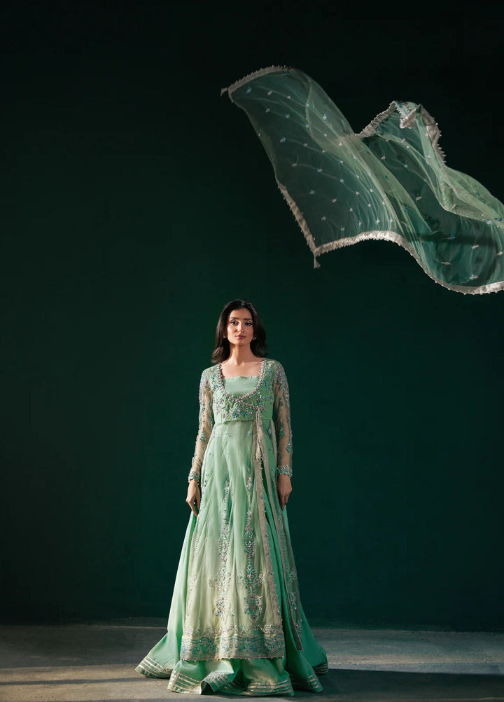 Rashq-e-Qamar by Malook Pret Embroidered Net 3 Piece Suit Feroza