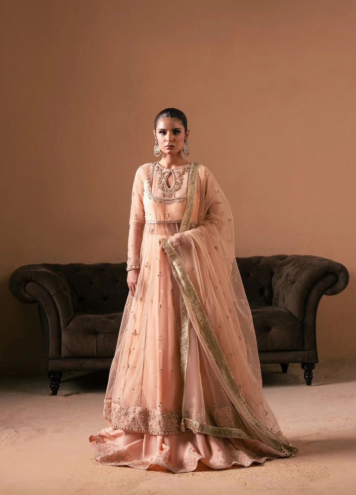 Rashq-e-Qamar by Malook Pret Embroidered Net 3 Piece Suit Sitara