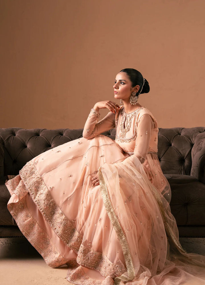 Rashq-e-Qamar by Malook Pret Embroidered Net 3 Piece Suit Sitara