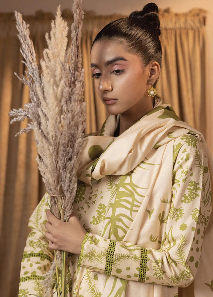 Raya by Humdum Printed Khaddar Suits Unstitched 3 Piece HD24RU D-07 - Winter Collection