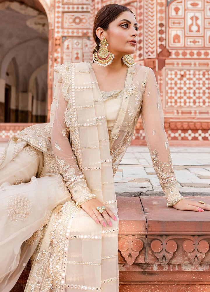Reem By Zoya & Fatima Embroidered Net Suits Unstitched 3 Piece ZOF23R Naira  - Festive Collection