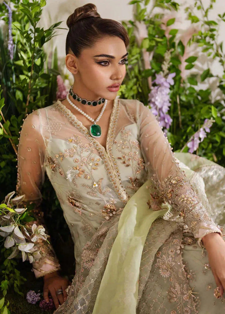Reem By Zoya And Fatima Embroidered Net Suit Unstitched 3 Piece ZOF24R Sania - Formal Collection