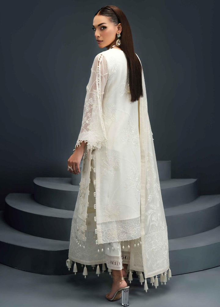 Reena By Alizeh Fashion Embroidered Chiffon Suits Unstitched 3 Piece AFB24R D-03 Irma - Luxury Collection