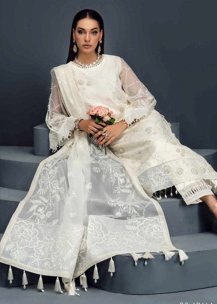 Reena By Alizeh Fashion Embroidered Chiffon Suits Unstitched 3 Piece AFB24R D-03 Irma - Luxury Collection