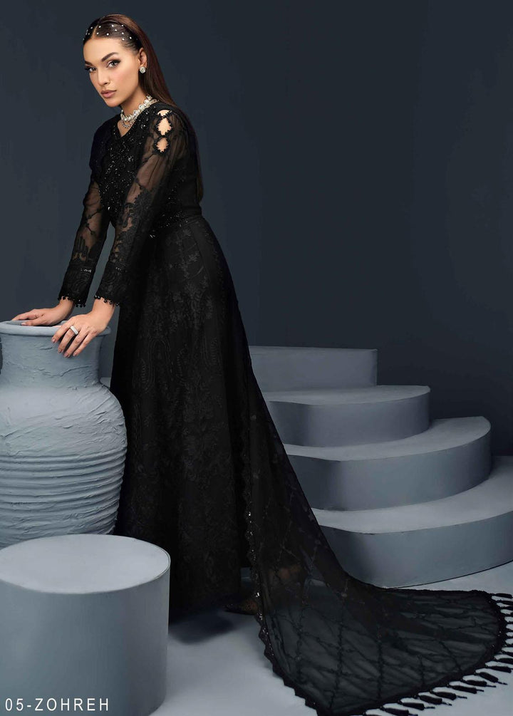 Reena By Alizeh Fashion Embroidered Chiffon Suits Unstitched 3 Piece AFB24R D-05 Zohreh - Luxury Collection