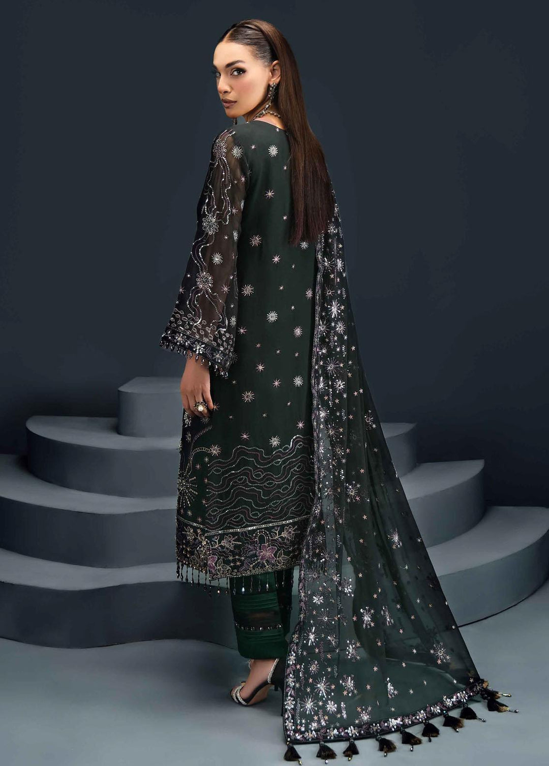 Reena By Alizeh Fashion Embroidered Chiffon Suits Unstitched 3 Piece AFB24R D-07 Cyra - Luxury Collection