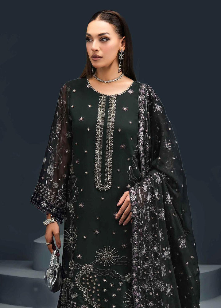 Reena By Alizeh Fashion Embroidered Chiffon Suits Unstitched 3 Piece AFB24R D-07 Cyra - Luxury Collection