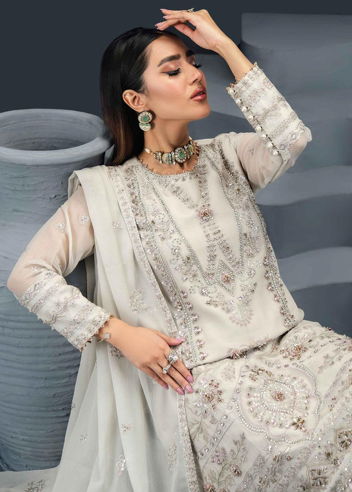 Reena By Alizeh Fashion Embroidered Chiffon Suits Unstitched 3 Piece AFB24R D-08 Roha - Luxury Collection