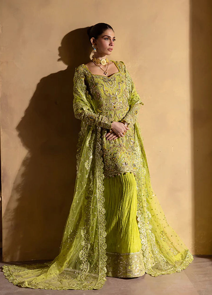 Regalia by Emaan Adeel Embroidered Net Suits Unstitched 3 Piece EA25RL Beyrl - Formals Collection