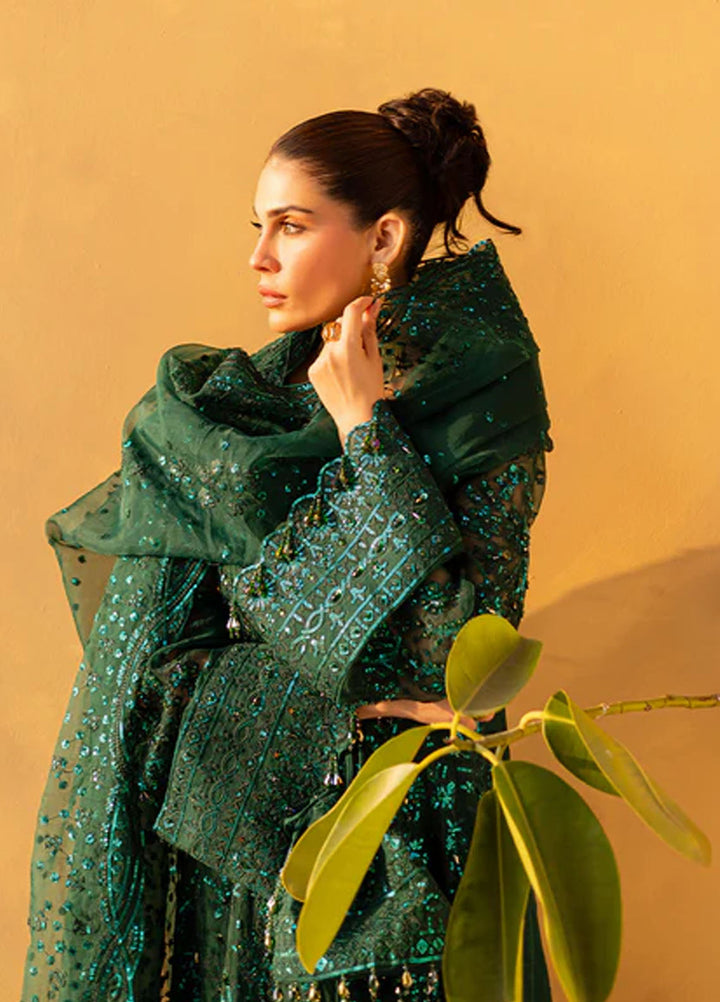 Regalia by Emaan Adeel Embroidered Organza Suits Unstitched 3 Piece EA25RL Ivyen - Formals Collection